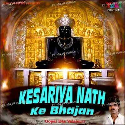 Baitha Baitha Re Juleva Mein Aaya Kala - Gopal Das Vaishnav album cover 