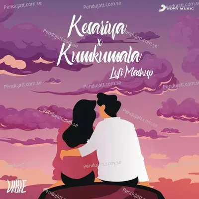Kesariya X Kumkumala - VIBIE album cover 