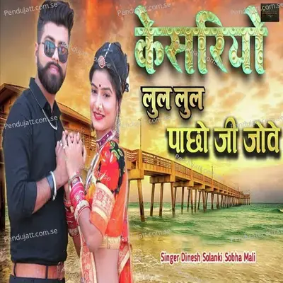 Kesariyo Lul Lul Pacho Ji Jove - Dinesh Solanki album cover 