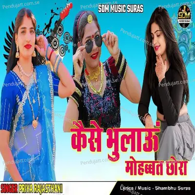 Kese Bhulau Mohabbat Chora - Priya Rajasthani album cover 