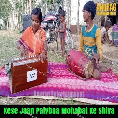 Kese Jaan Paiybaa Mohabat Ke Shiya - Puja album cover 