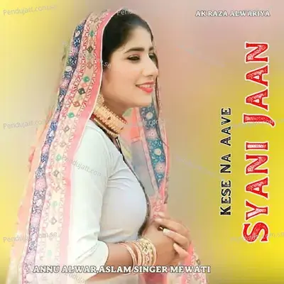 Kese Na Aave Syani Jaan - Annu Alwar album cover 