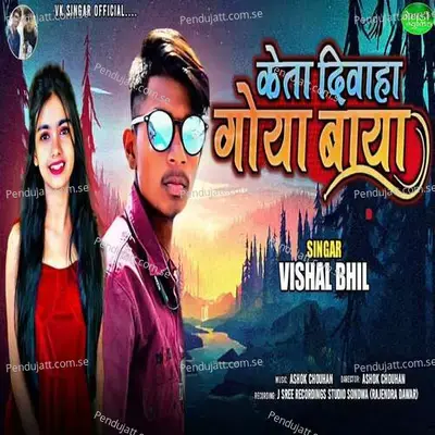 Keta Divaha Goya Baya - Vishal Bhil album cover 