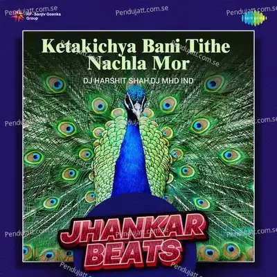 Ketakichya Bani Tithe Nachla Mor - Jhankar Beats - DJ Harshit Shah album cover 