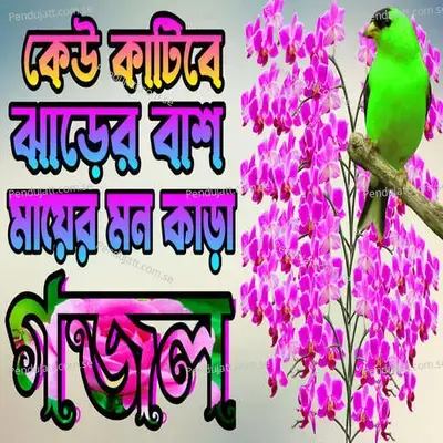 Keu Katibe Jarer Bash Keu Bolibe Sorbonash - Machuma Aktar album cover 