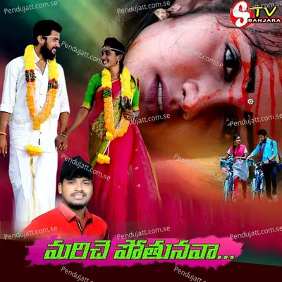 Kevadi Jari Bulan Ku Challijari Banjara Love Song - Vijay Kumar album cover 