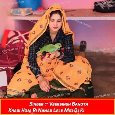 Khadi Hoja Ri Nanad Lele Moj Dj Ki - Veersingh Banota album cover 