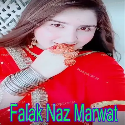 Shap Me Pa Fikar Ki Da Sta Tayra Shawa - Falak Naz Marwat album cover 