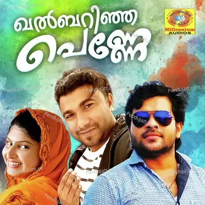 Thullimazha - Nizar Wayanad album cover 