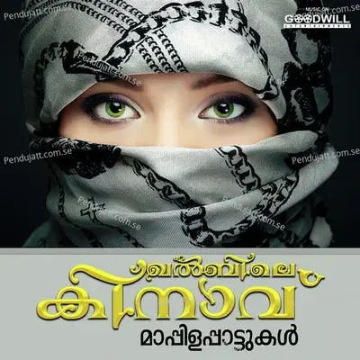 Oruvakku Mindathe - Thajudheen Vatakara album cover 