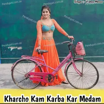 Kharcho Kam Karba Kar Medam - Vishnu Meena album cover 