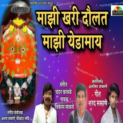 Khari Majhi Daulat Majhi Yedamay - Vikas Salve album cover 