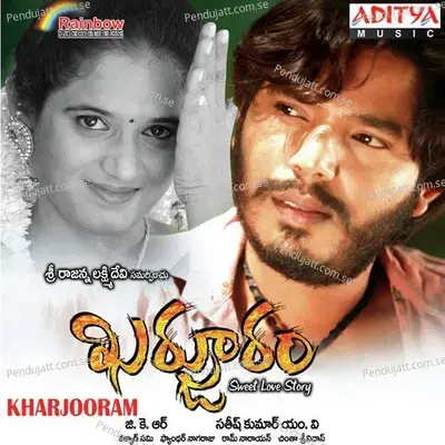 Amma Nanna - Ram Narayan album cover 