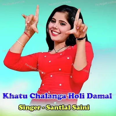 Khatu Chalanga Holi Damal - Sant Lal Saini album cover 