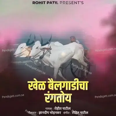 Khel Bailgadicha Rangtoy - Rohit Patil album cover 