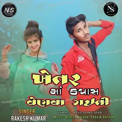 Khetrar Ma Kapas Venva Gaiti - Rakesh Kumar album cover 