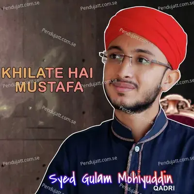 Khilate Hai Mustafa - Syed Gulam Mohiyuddin Qadri album cover 