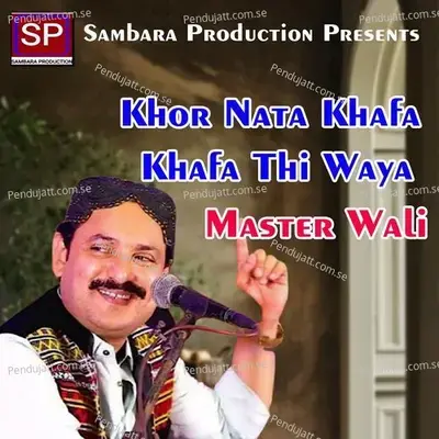 Khor Nata Khafa Khafa Thi Waya - Master Wali album cover 