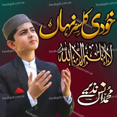 Khudi Ka Sirr E Nihan La Ilaha Illallah - Muhammad Anas Nazeer album cover 