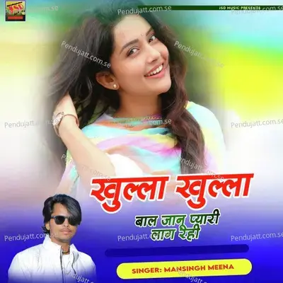 Khulla Khulla Baal Janu Pyari Lag Rahi - Mansingh Meena album cover 