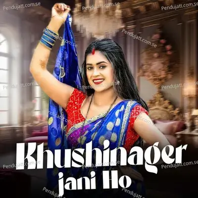 Khushinager Jani Ho - Priya Rani album cover 