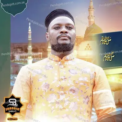 Khwab Mein Jalwa Dikha Dijiye Huzoor - Shabbir Barkati album cover 