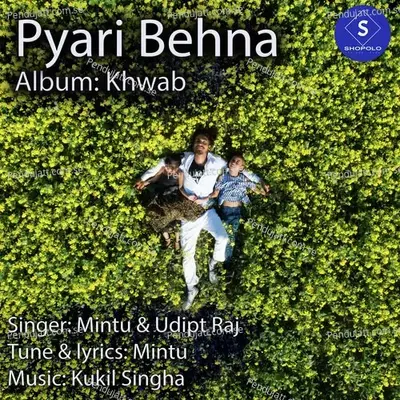 Pyari Behna - Mintu Roy album cover 