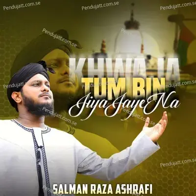 Khwaja Tum Bin Jiya Jaye Na - Salman Raza Ashrafi album cover 