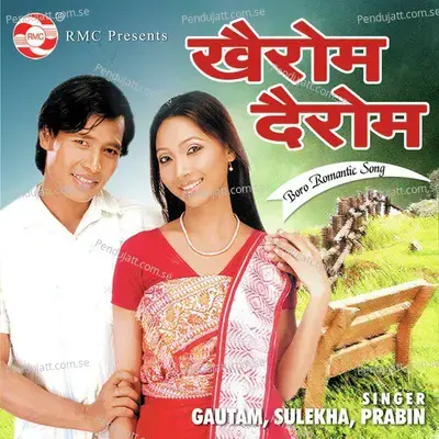 Hero - Sulekha Basumatary album cover 