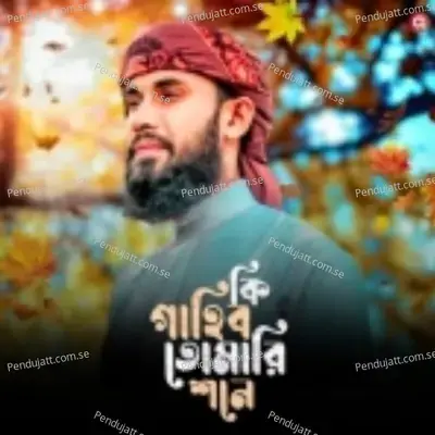 Ki Gahibo Tomari Sane - Saifuddin Amini album cover 