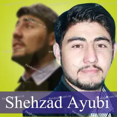 Kicha Asus Re - Shehzad Ayubi album cover 