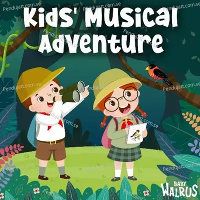 Kids Musical Adventure - Baby Walrus cover album