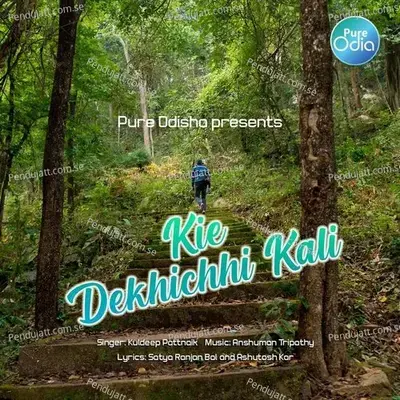 Kie Dekhichhi Kali - Kuldeep Pattnaik album cover 