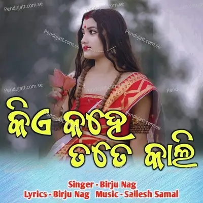 Kie Tate Kahe Kali - Birju Nag album cover 