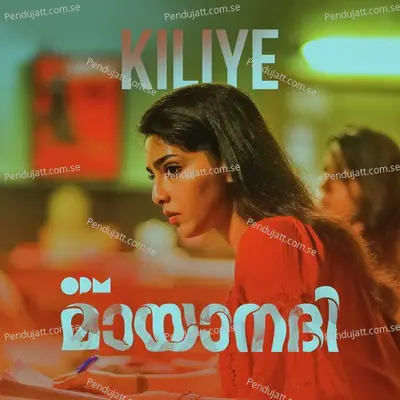 Kiliye - Neha.S.Nair album cover 