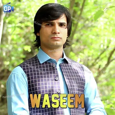 Kilon Waya Hai Andewalno Sara - Waseem album cover 