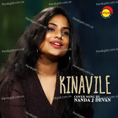 Kinaavile - Nanda J. Devan album cover 