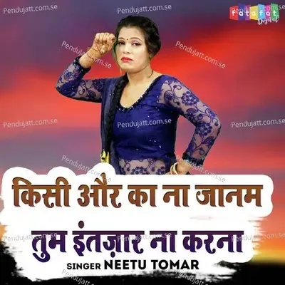 Kisi Or Ka Na Janam Tum Intezar Na Karna - Neetu Tomar album cover 