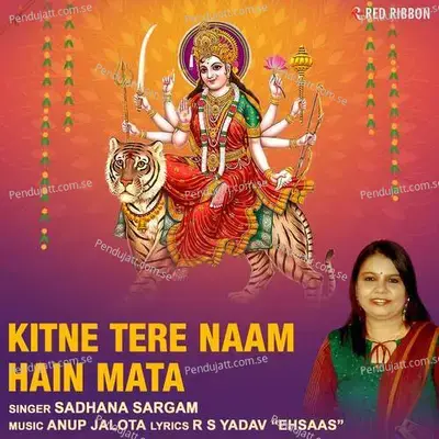 Kitne Tere Naam Hain Mata - Anup Jalota