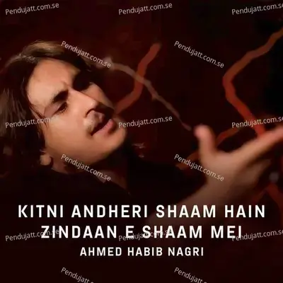 Kitni Andheri Shaam Hain Zindaan E Shaam Mei - Ahmed Habib Nagri album cover 