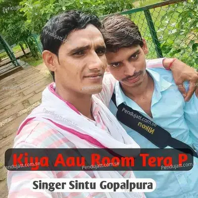 Kiya Aau Room Tera P - Sintu Gopalpura album cover 