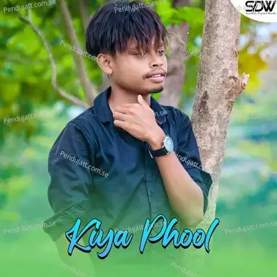 Kiya Phool - Stephan Tudu album cover 