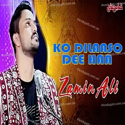 Ko Dilaaso Dee Haa - Zamin Ali album cover 