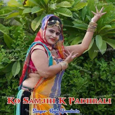 Ko Samjhi K Padhbali - RAJU GOMLADU album cover 