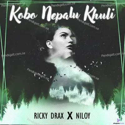 Kobo Nepalu Khuli - Niloy album cover 