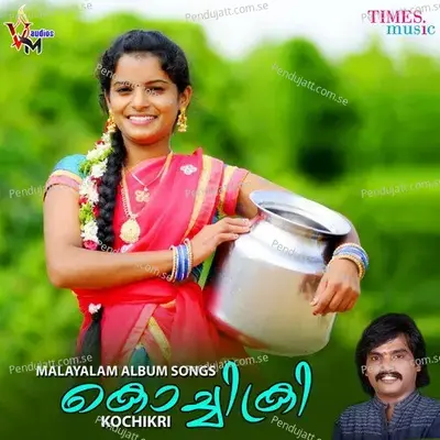 Puthanpullikkavile - Vidhya album cover 