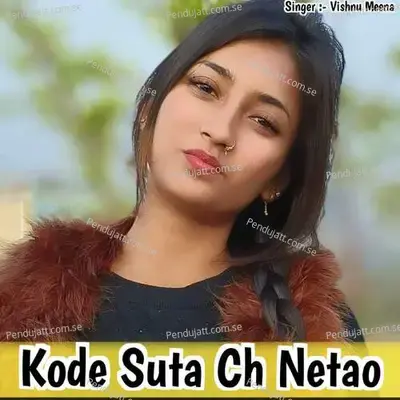 Kode Suta Ch Netao - Vishnu Meena album cover 