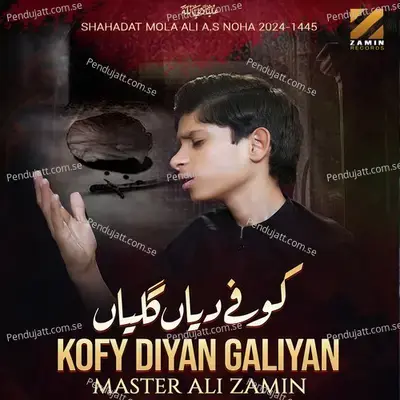 Kofy Diyan Galiyan - Master Ali Zamin album cover 