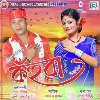 Din Jai Bagori - Nayan Nibir album cover 