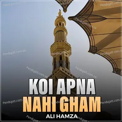 Koi Apna Nahi Gham - Ali Hamza album cover 